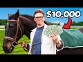 I Trained A Race Horse To Gamble Made