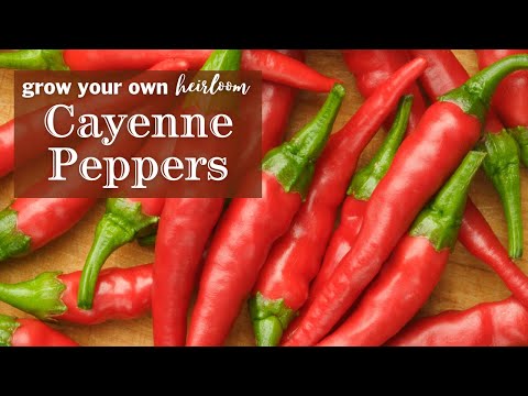 , title : 'Sow Right Seeds | Grow Cayenne Pepper from Seed'