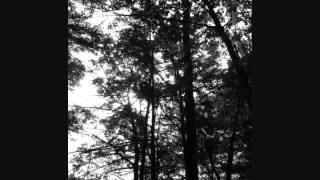 Down-Pray for the Locust