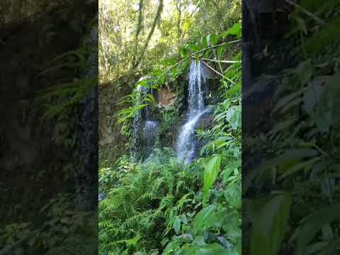 Cachoeira do Tizil em Califórnia PR