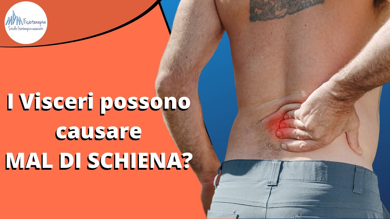 Mal di schiena causato da problemi Viscerali Le cause nascoste