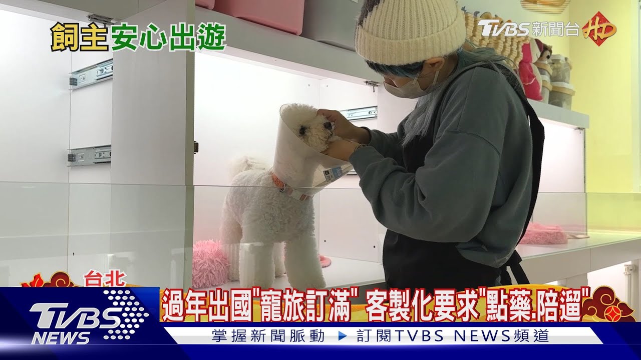 出國怎挑寵旅! 「24hr保母、換氣設備」必備