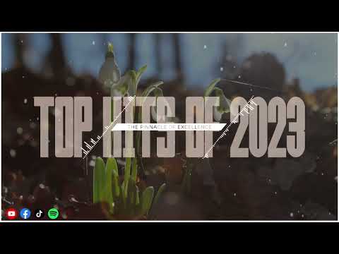 Big Morning EDM Remix: Top Hits of 2023 344