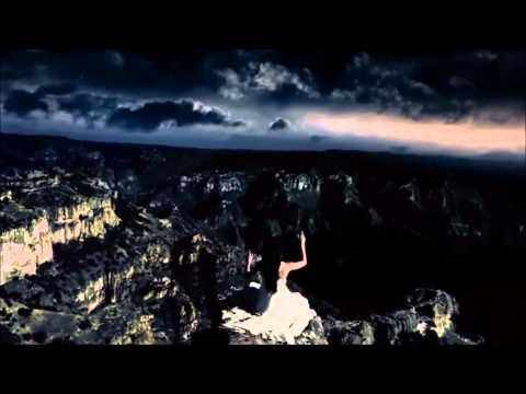 Boris Novković & Lado Members - Vukovi Umiru Sami (1 visualization)