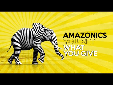 Amazonics - You Get What You Give ???????? ????????