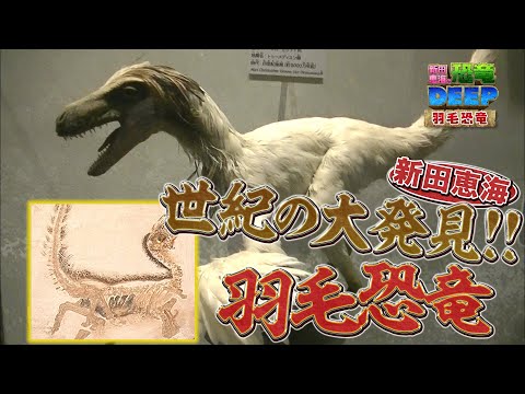 恐竜はすでに羽毛寄生虫に悩まされていた