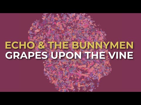 Grapes Upon the Vine