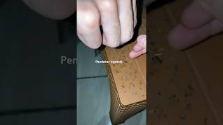Download lagu Pendekar 🔥 #comedy #lucu #funny #nyamuk mp3