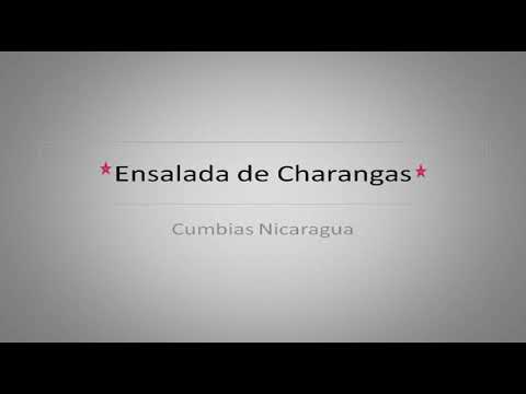 Ensalada de Charangas - Los Guaracheros del Ritmo (mix)