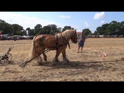 Altmaschinenfreunde Levern   25 Jubiläum  Video 2