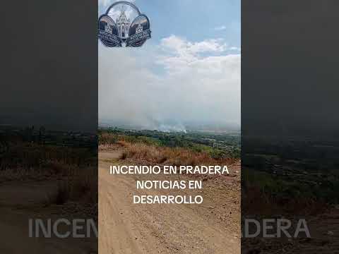 A ESTA HORA SE REGISTRA UN VORAZ INCENDIO EN PRADERA VALLE DEL CAUCA MIRÉ EL VÍDEO COMPLETO