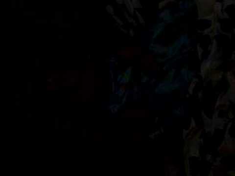 Happy Birthday Jamie