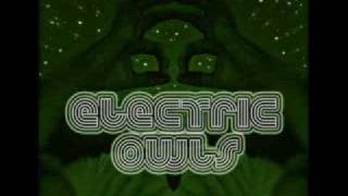 Electric Owls - Kamiakin