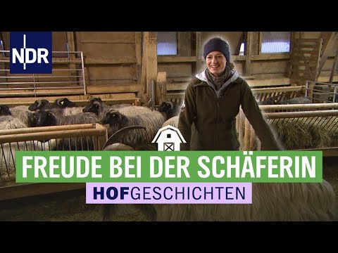 , title : 'Großartige Geschichten aus dem Schafstall | (165) | Die Nordreportage: Hofgeschichten'