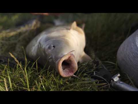 Hanul Pescarilor Garofița - 1 Iunie 2020