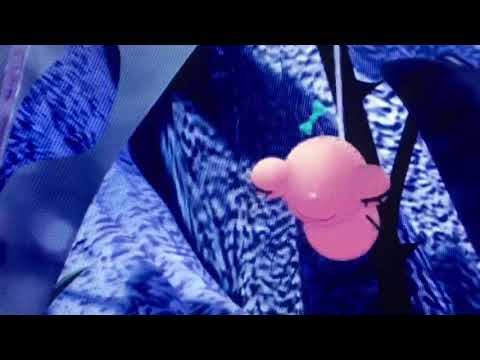 Miss Spider’s sunny patch friends lalla bug