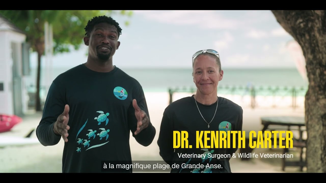 Silversands Resort : Building the Africa-Caribbean bridge | Afreximbank Impact Stories Season 2