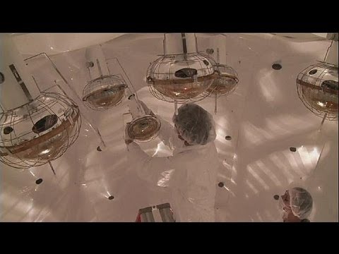 'DarkSide 50' - Ein Experiment im Felsmassiv - science