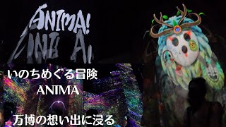 【万博】いのちめぐる冒険ANIMA　先入観なしで行って、楽しかった