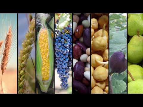 Mission San Rafael Arcangel