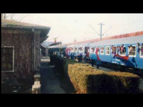 Și de câinii erau în gară