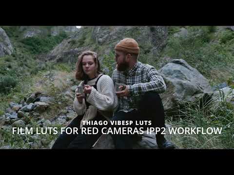 looks-for-red-cameras-red-komodo-v-raptor-raven-monstro - Best LUTs for Filmmakers