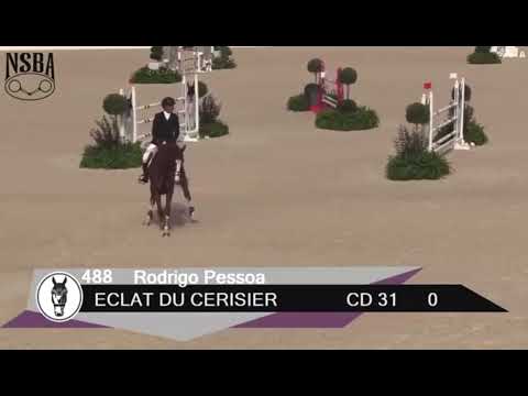 Eclat du Cerisier - Rodrigo Pessoa - Ocala 2022 - 1,35m