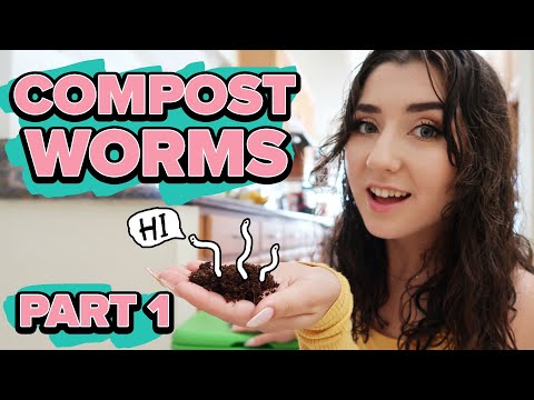 I Got Compost Worms For My Eco-Friendly House! PART 1