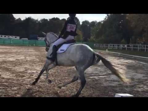 Assédonie AQPS de 2010 CCE Jardy 23/10/2016