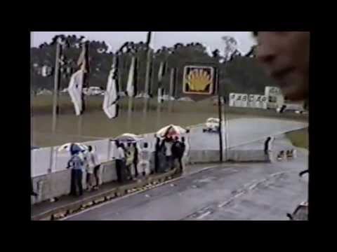 GOLDEN RATTLESNAKE 1988