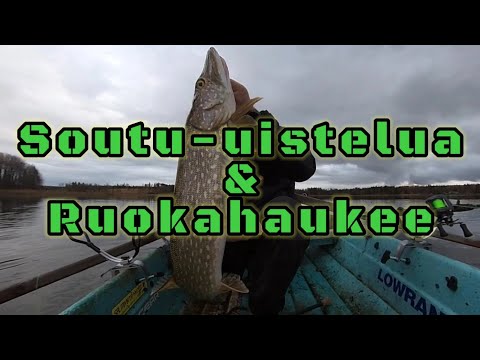 Soutu-uistelua ja ruokahaukee