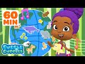 Zooli S Wild Animal Rescues W Songs Games More For 60 Minutes Bubble Guppies
