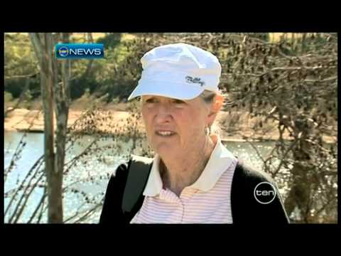 Gayndah Bat Invasion