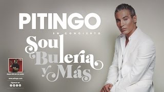 PITINGO - Soul, Bulería y más - Teatro de la Luz Philips Gran Vía