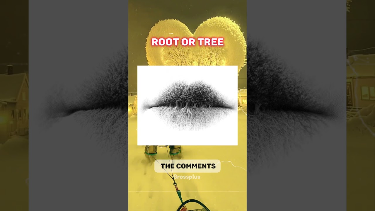 test introwertyzmu kontra ekstrawertyzmu #krótkie filmy #nauka