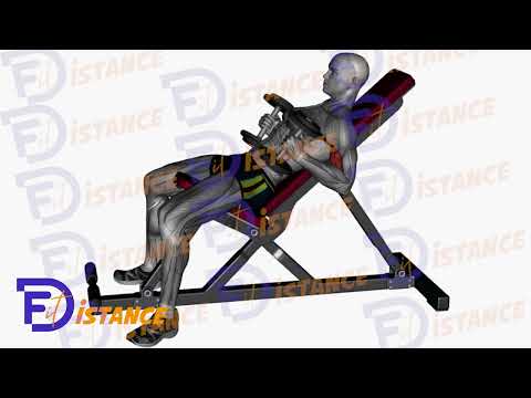 Exercice Curls marteau sur banc incliné