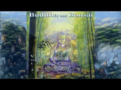 Oliver Shanti & Friends ~ Buddha and Bonsai Vol.3 (album) soothing, calm and peaceful Zen meditation