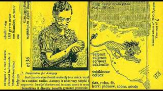 Big City Orchestra - Eelgrass