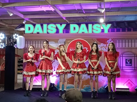 DAISY DAISY // งาน Nippon Market // CTW // 20 ส.ค.2022 [ เพลง "HEAL" ]