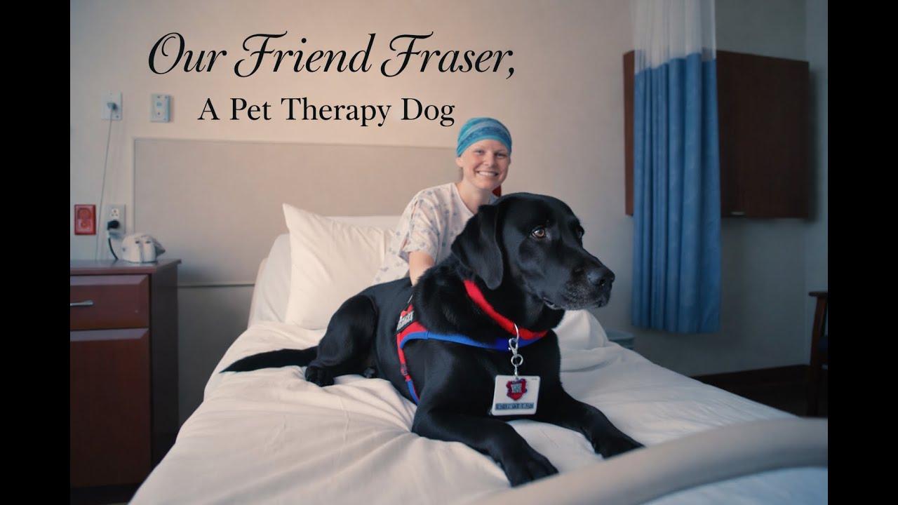 A Day in the Life of Fraser : A Pet Therapy Dog