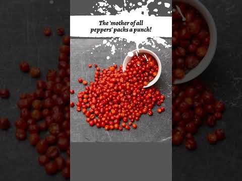 Get to Know Chiltepín Peppers