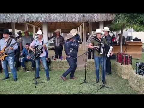 Ya están cantando los gallos - Manuel Guerrero y Alegres Jr