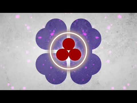 Wayne Madiedo, Chile (MX) - Collection [H.A.S.H.T.A.G.]