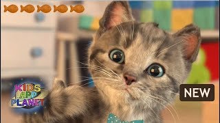 🐱 Little Kitten - My Favorite Cat - NEW Lovely & Cute Game - iOS