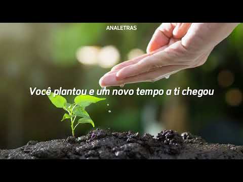 Sementes da Fé | Cassiane (Letra)