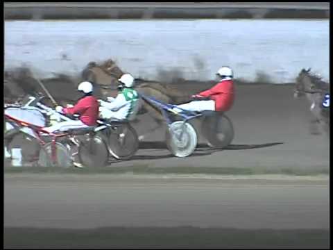 Trotto 15/02/2015 - Minitrotter