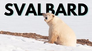 Svalbard Expedition: Polar Bears & Arctic Wildlife | Expedition Cruise with Quark Expeditions