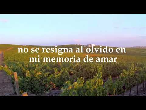 Memoria de amar Karaoke