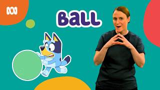Learn Auslan with Bluey! Sign language for kids | ABC Kids gameplay video by BSDS5298, 3:42 duration