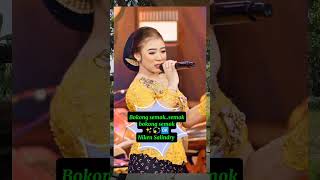 Download lagu Bokong semok-semok ...bokong semok by.. Niken Salindry #videoshorts mp3 Download lagu Bokong semok-semok ...bokong semok by.. Niken Salindry #videoshorts mp3